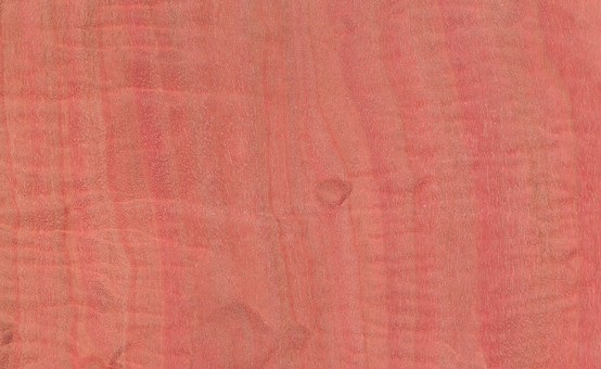 pink ivory color
