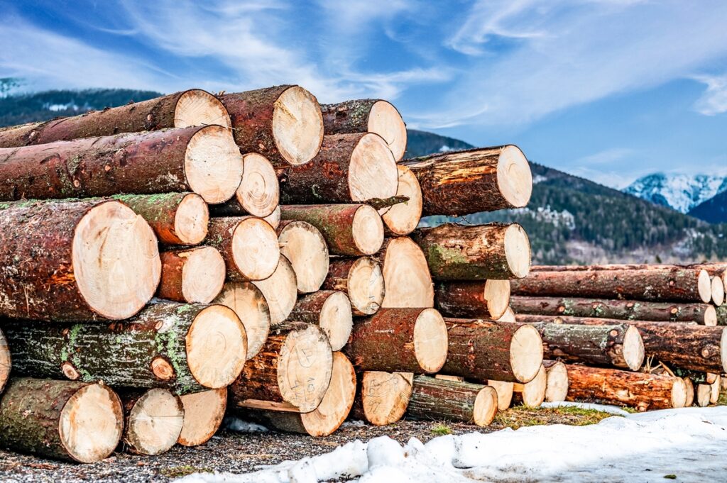 pile of wood
