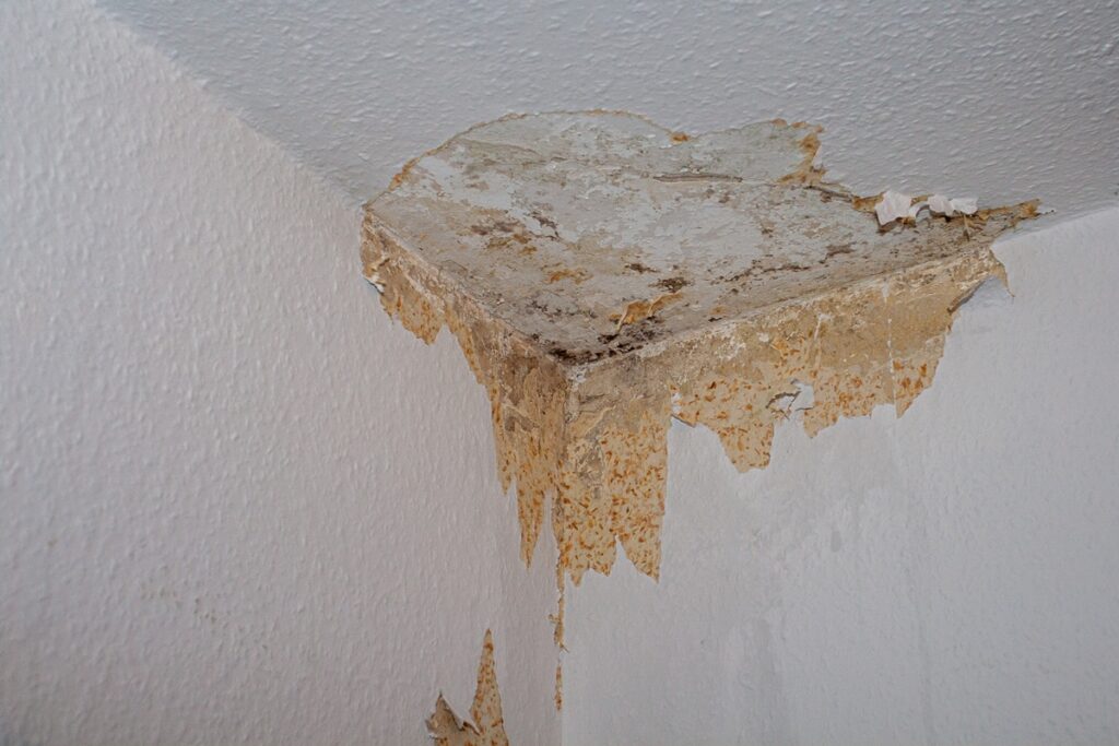 damp on ceiling