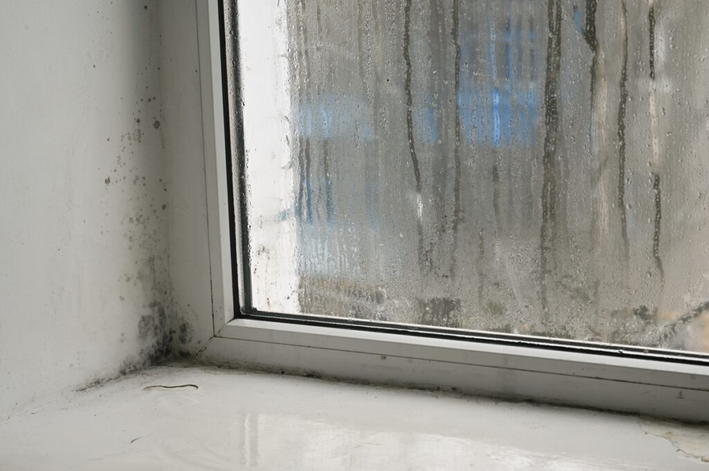 moisture in the home