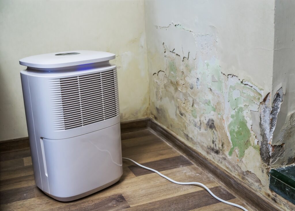 portable dehumidifier machine for damp