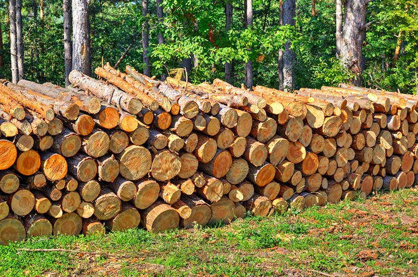 Green Wood