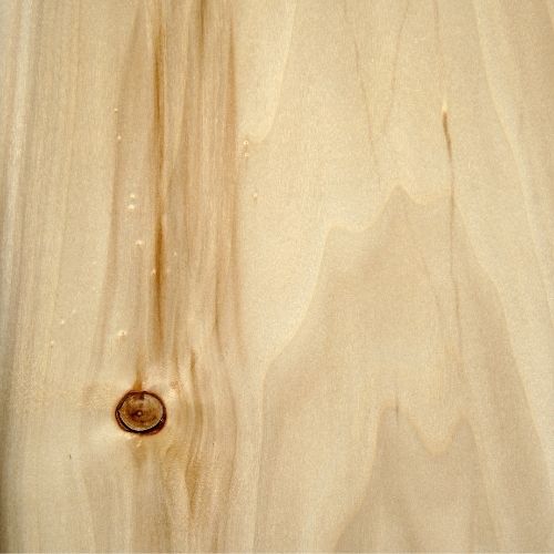 Poplar