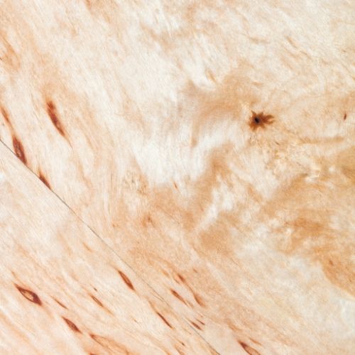 Birch