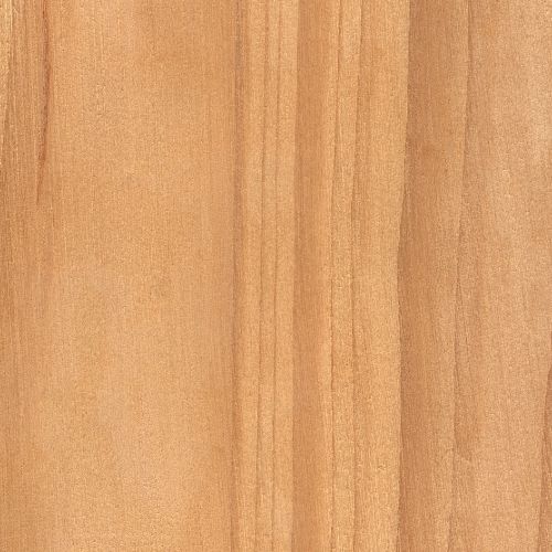 Maple