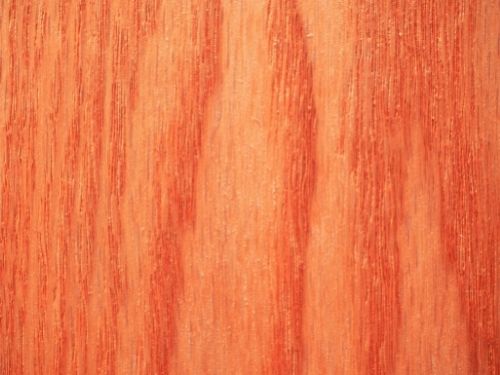 Red oak