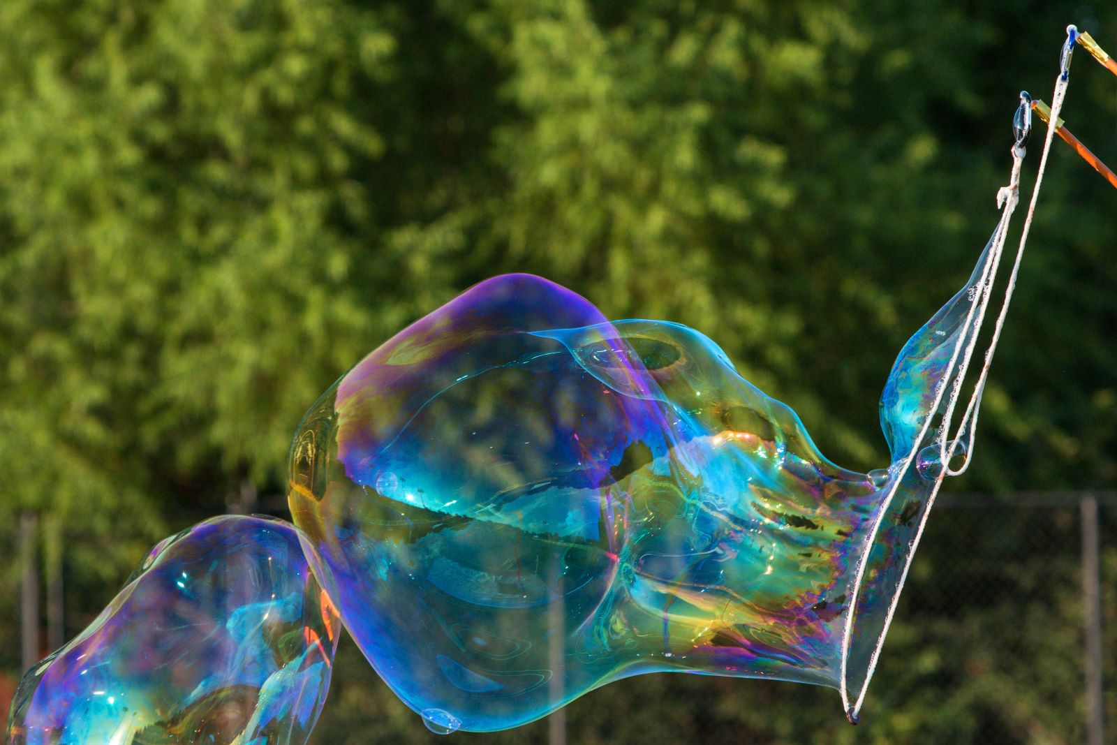 Giant Bubble