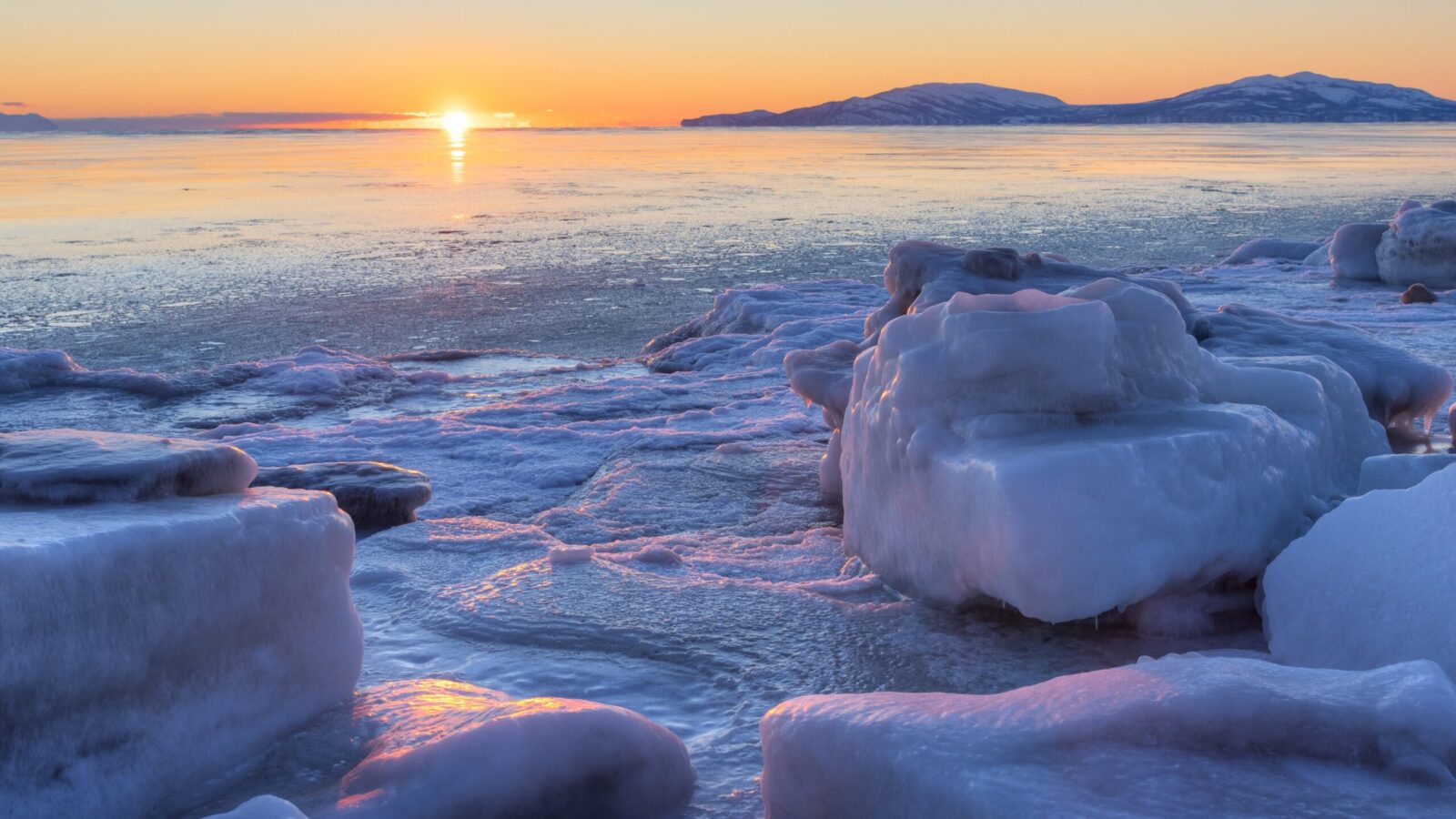 Arctic