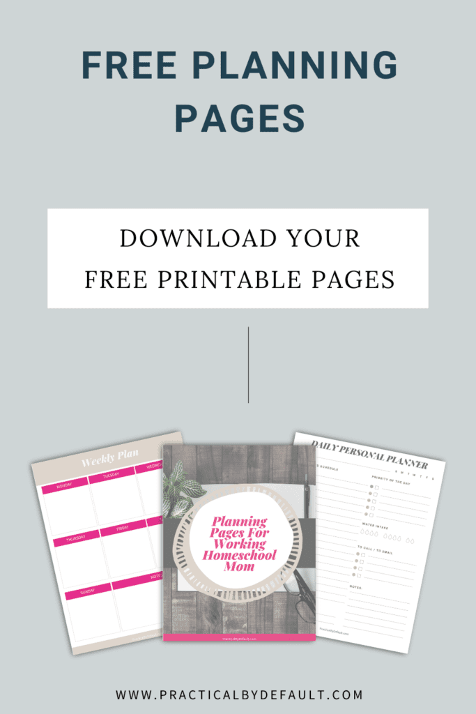Free planning pages- printable mock up of 3 pages.