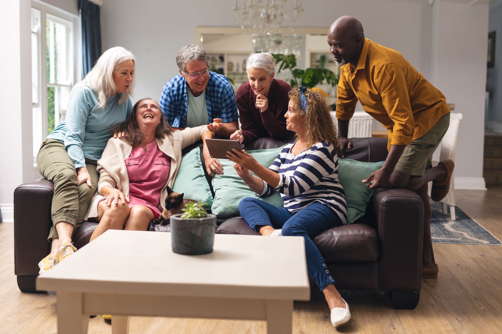 Elderly Socializing