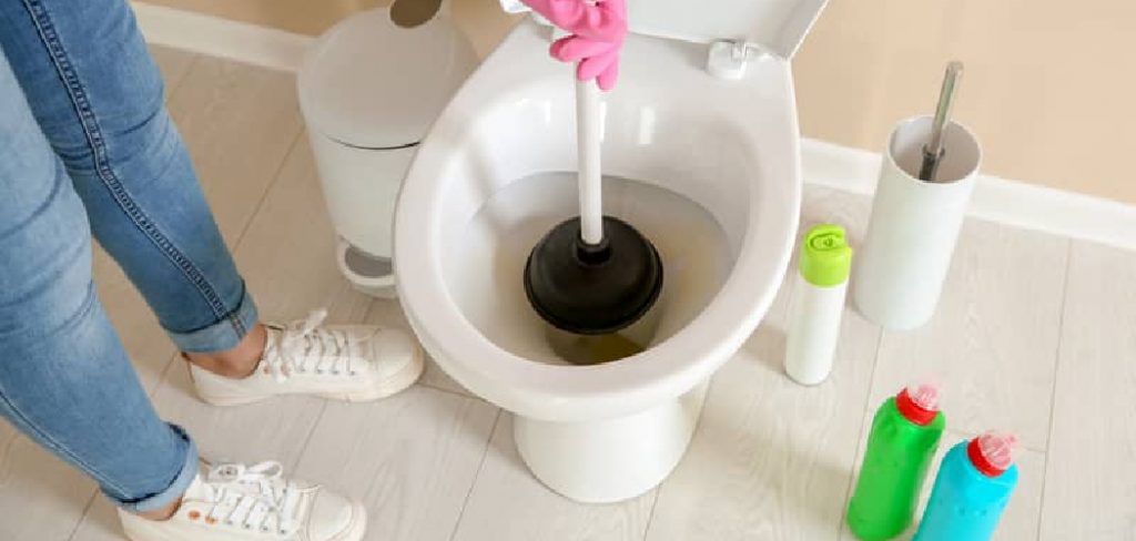 How to Clean a Plunger