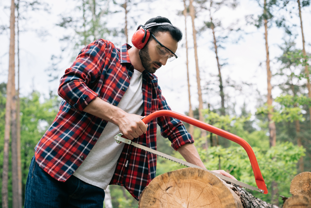 Cutting Logs Without Power Tools (2)