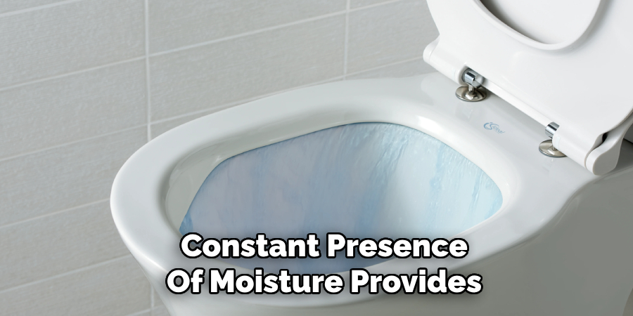Constant Presence
Of Moisture Provides