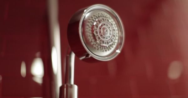 Ceiling Showerhead