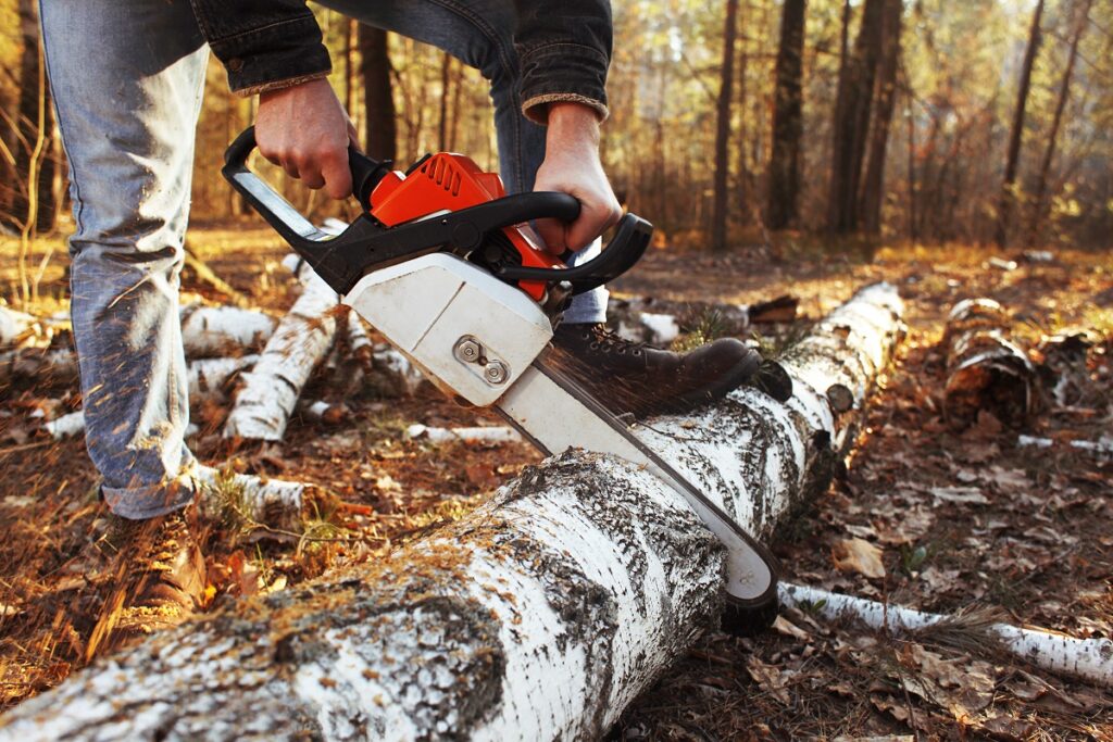 milwaukee chainsaw