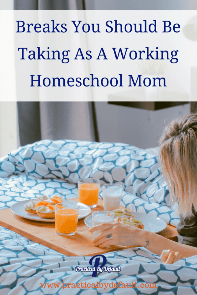 As the holiday approaches life can get pretty crazy. Homeschooling, working, life. It can get to be just too much. Check out these breaks you should be taking.