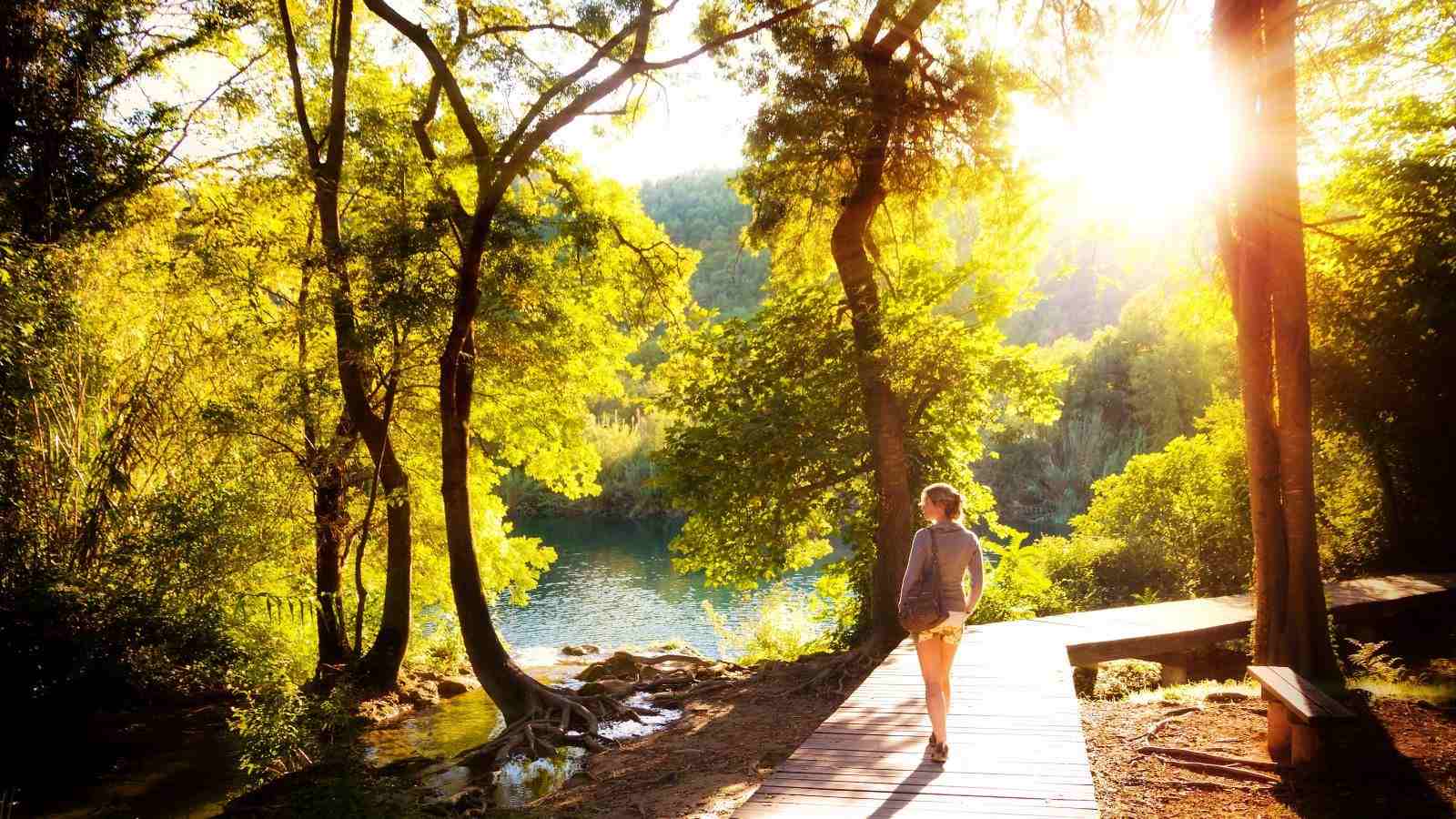 Nature Walk