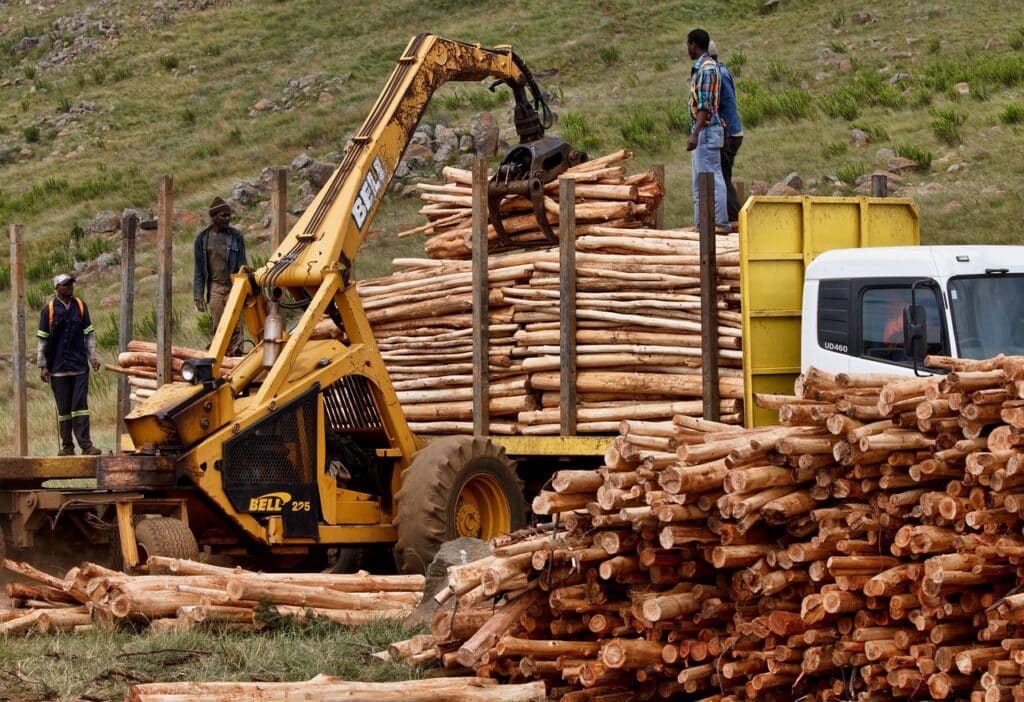 DIY Rubberwood Import