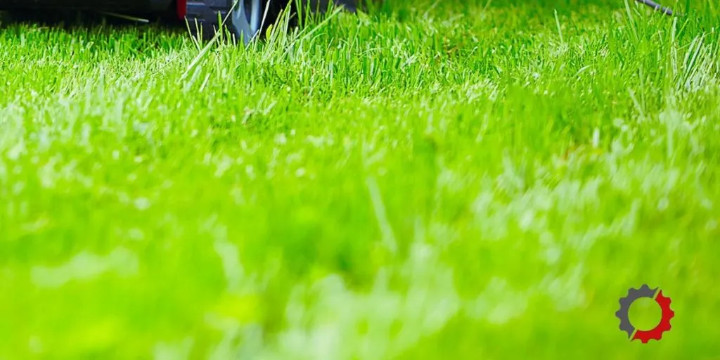 Mower is cutting uneven