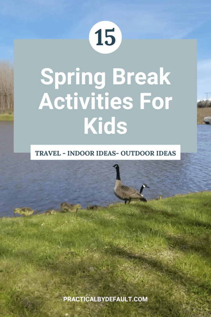 Spring Break Activities travel - indoor ideas- outdoor ideas Photo of Canadian Geese at a park