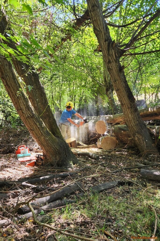 testing stihl ms 440