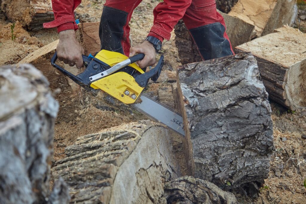 using rear handle chainsaw