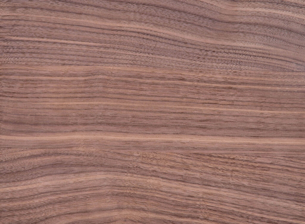 English Walnut Wood