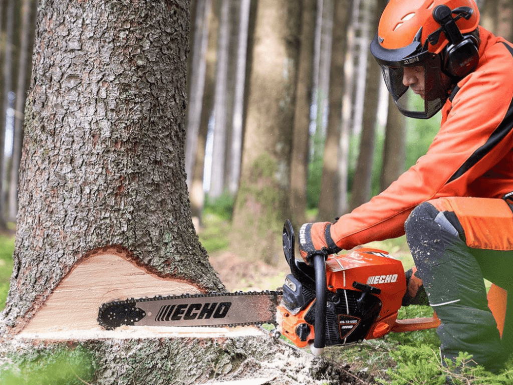 powerful echo chainsaw